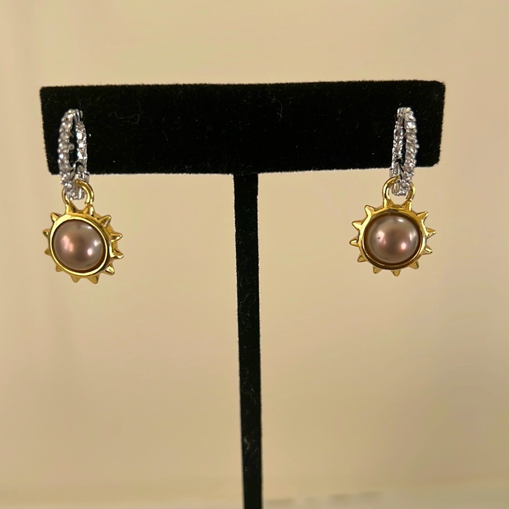 - Alexis Bittar Earrings